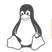 linux命令查询